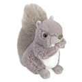 Plush toy squirrel on a white background