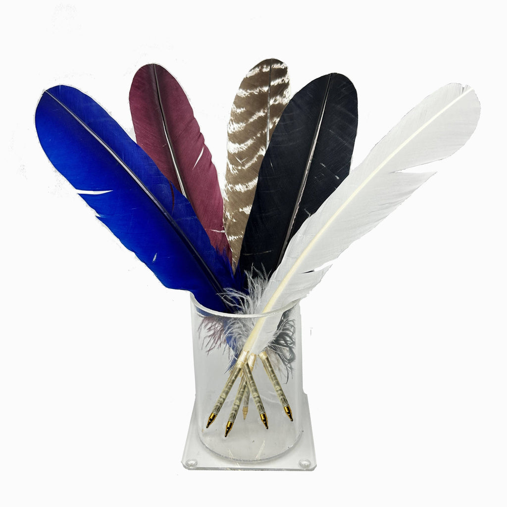 Five large, colorful Quill Ballpoint Pens—blue, maroon, striped brown, black, and white—are arranged upright in a clear glass vase, their quills pointing downward like an artist’s collection of handcrafted feathers.