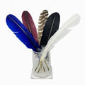 Five large, colorful Quill Ballpoint Pens—blue, maroon, striped brown, black, and white—are arranged upright in a clear glass vase, their quills pointing downward like an artist’s collection of handcrafted feathers.