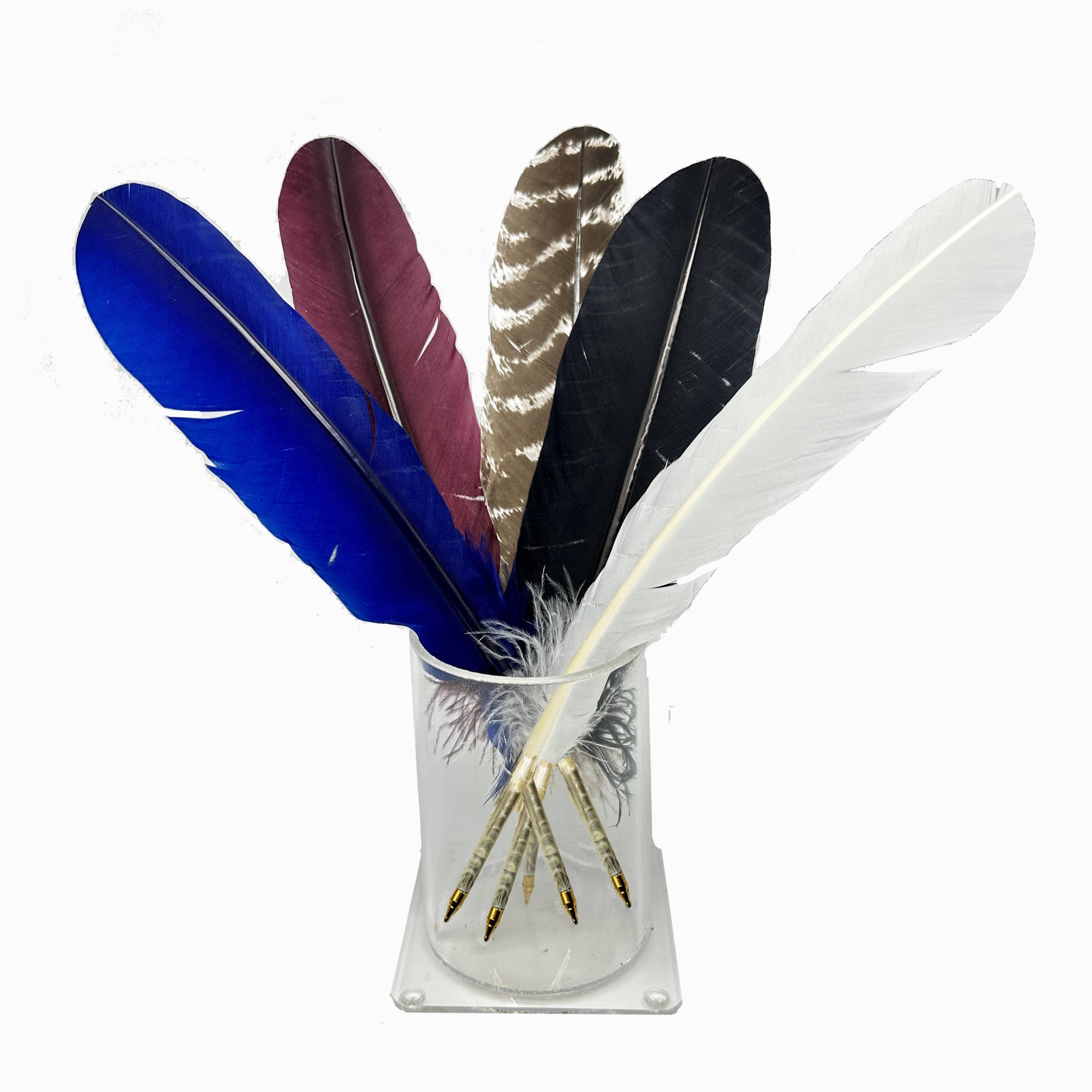 Five large, colorful Quill Ballpoint Pens—blue, maroon, striped brown, black, and white—are arranged upright in a clear glass vase, their quills pointing downward like an artist’s collection of handcrafted feathers.